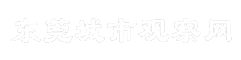 东莞城市观察网